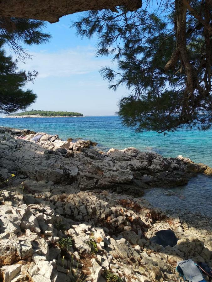 Apartments Villa Sibenik Primošten Eksteriør bilde
